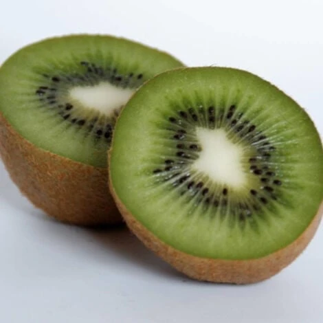 Kiwi Chinensis Solissimo® 'Renact' (Autofertile)/Pot De 3L – Image 2