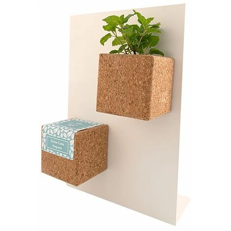Grow Cube Aimanté Coriandre – Image 2