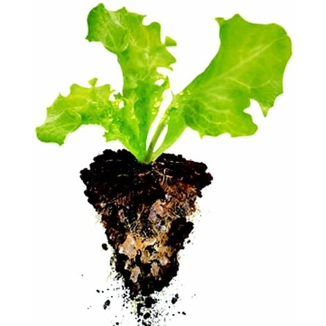 Hydro-rétenteur D'eau Fertilisant Polyter Bidon 250 G – Image 4