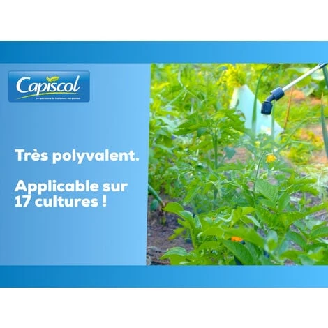 CAPISCOL BB20800 Bouillie Bordelaise Potager Et Verger 800g De Poudre 128L De Solution Utilisable En Agriculture Biologique – Image 2