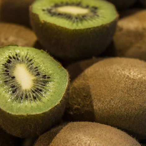 Kiwi Chinensis Hayward (Femelle)/Godet – Image 5