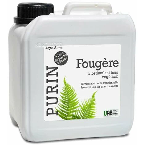 Purin De Fougère Concentré - 2 Litres
