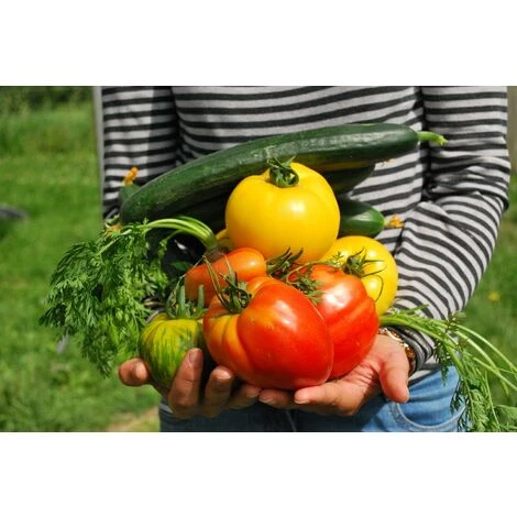 Decis Protech Home 100ml Insecticide Polyvalente – Image 4