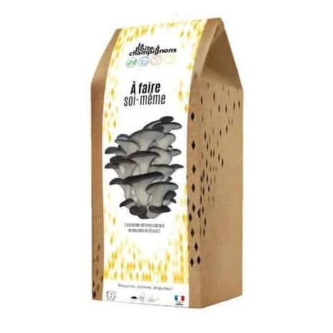 Kit Champignons Boite à Faire Soi-même. Multi. Marque : La Boite à Champignons. Réf. : DIY-AD