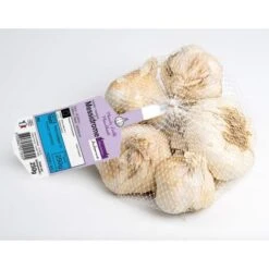 MESSIDROME Blanc Ail A Repiquer 500 Gr. . Marque : DEBAERE. Réf. : MESSIDROME Blanc