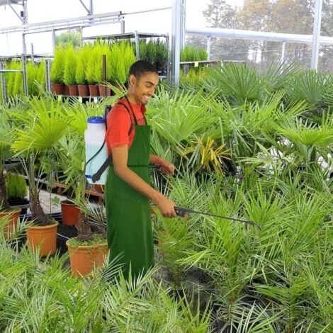 Pulvérisateur à Dos 12 Litres – Image 2