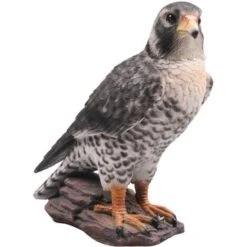 Faucon Sur Branche En Résine Gris
