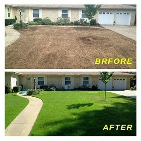 Tapis D'herbe Biodégradable, Tapis D'herbe Verte Pour Pique-nique, Tapis De Germination Des Plantes Pour Faire Pousser Des Graines D'herbe Dans Le Patio, La Pelouse, Le Jardin, Le Patio (16 – Image 4
