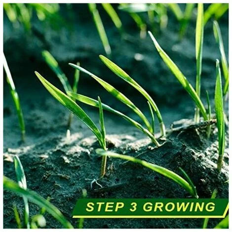 Tapis D'herbe Biodégradable, Tapis D'herbe Verte Pour Pique-nique, Tapis De Germination Des Plantes Pour Faire Pousser Des Graines D'herbe Dans Le Patio, La Pelouse, Le Jardin, Le Patio (16 – Image 5