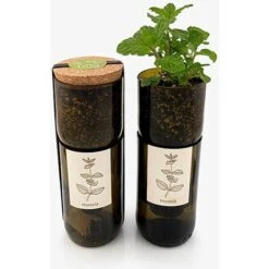 Kit Irrigation Menthe Prêt à Pousser