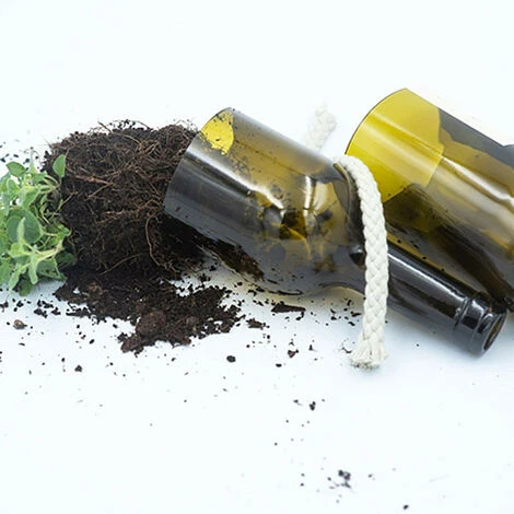 Kit Irrigation Menthe Prêt à Pousser – Image 2