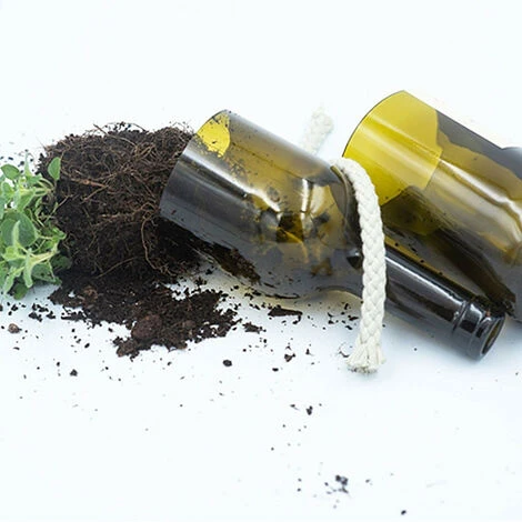 Kit Irrigation Thym Prêt à Pousser – Image 2