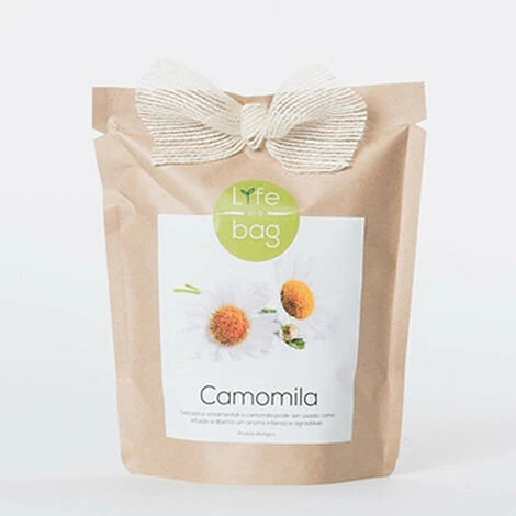 Sac Papier Prêt à Cultiver Camomille – Image 2