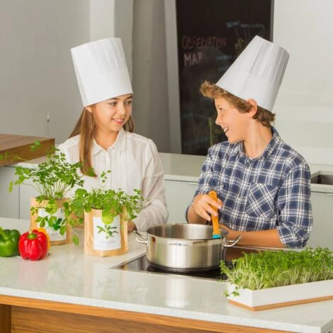 Sac Papier Prêt à Cultiver Camomille – Image 3