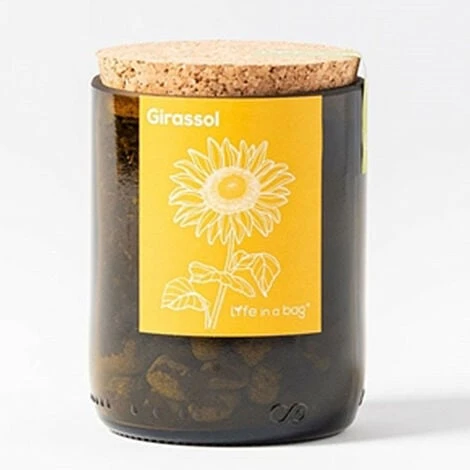 Kit Bouteille Prêt à Pousser Tournesol
