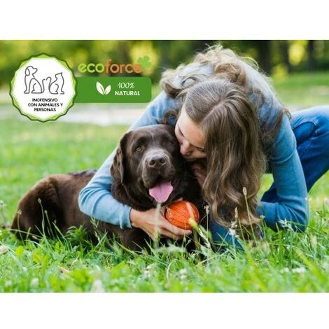 CULTIVERS Sulfate De Magnésium 5 Kg Engrais Universel 100% Naturel Favorise La Croissance Des Cultures, Des Jardins Et Des Plantes D'Intérieur - Engrais Magnésium Haute Solubilité – Image 2