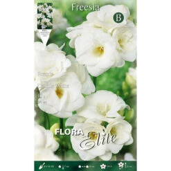 FREESIA DOUBLE BLANC (LOT DE 10 AMPOULES)