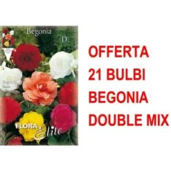 OFFRE 21 BÉGONIA BULBES DOUBLE MIX